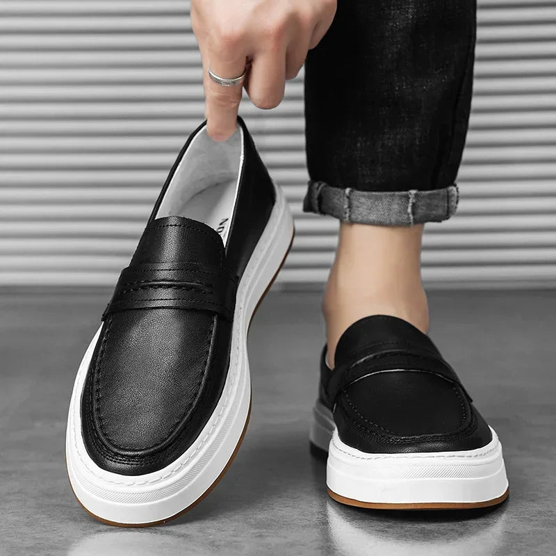 https://cdn.shopify.com/s/files/1/0679/5745/7155/files/S87b668f698a44ae490ecd75e0a0a3214C.webp?v=1740043503